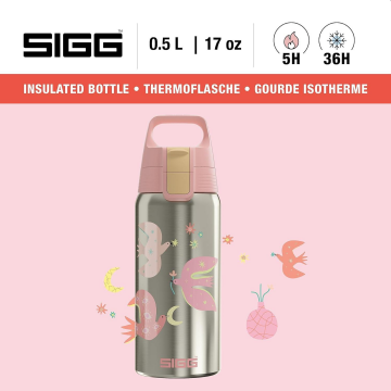 SIGG Termos Özellikli Paslanmaz Çelik Su Matara 0.5L – Fly Away