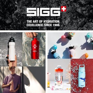 SIGG Dinozor Sızdırmaz Kapak Çocuk Okul Suluğu 0.5 L – BPA Free – Viva One Dino Race